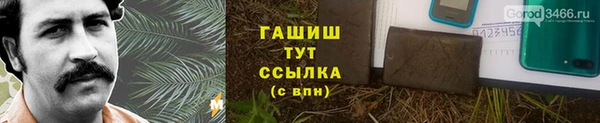 стаф Белокуриха