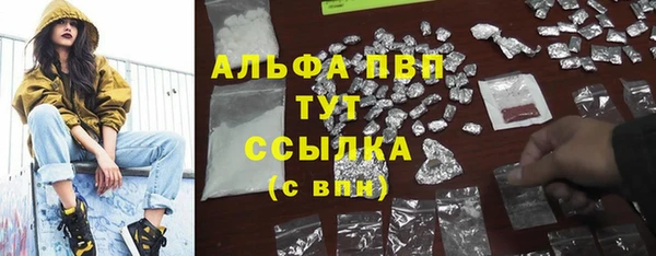 стаф Белокуриха